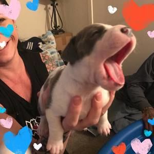 Meet your Posher, Gina